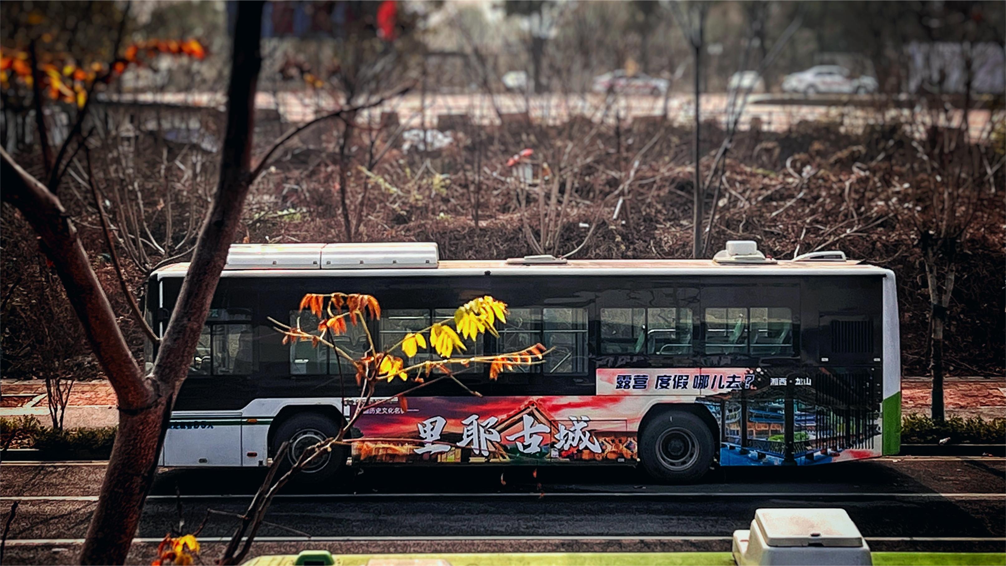 湘西龍山廣告案例