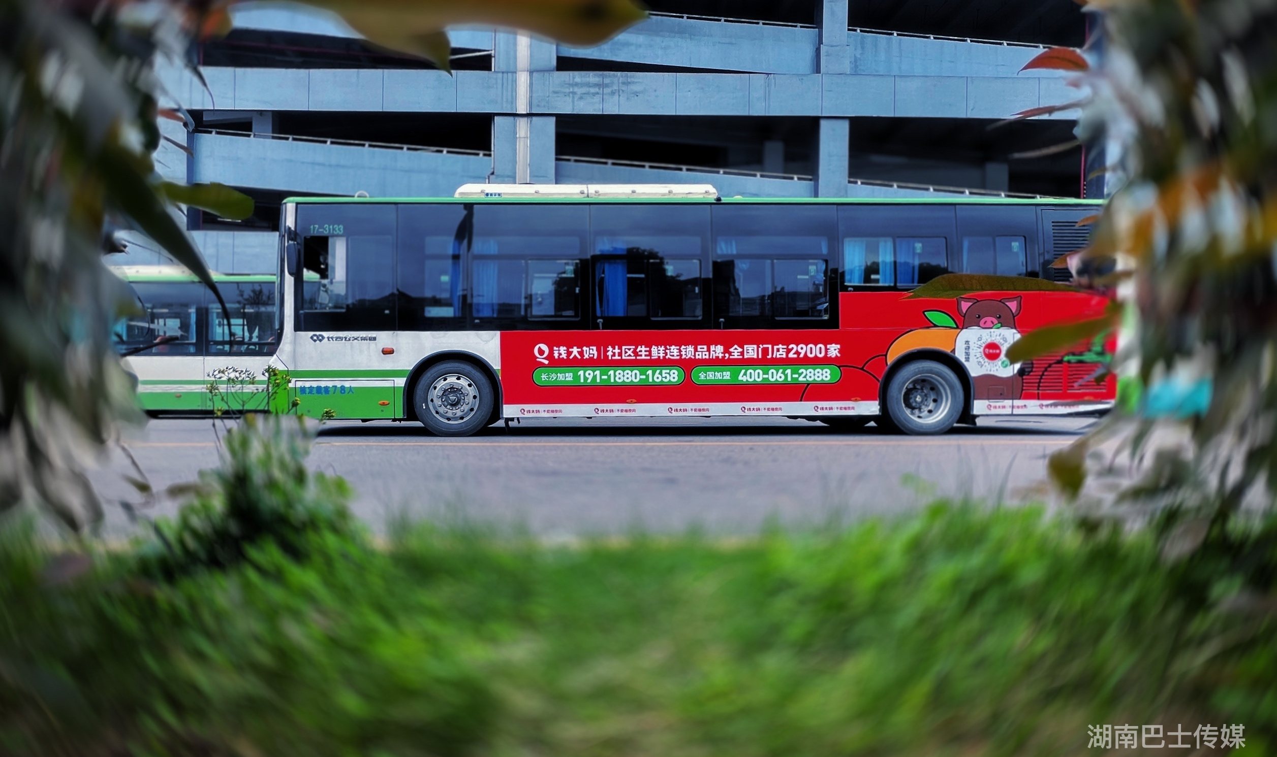 錢(qián)大媽廣告案例